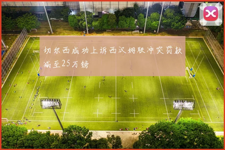 切尔西成功上诉西汉姆联冲突罚款减至25万镑
